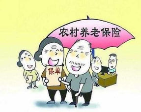 什么是个人养老金业务制度(什么是个人养老金投资)