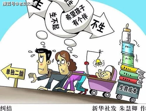 黑龙江优化生育政策(2022年黑龙江省生育津贴政策)