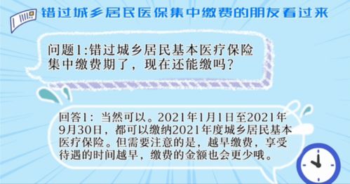 市城乡居民基本医保缴费(城乡居民医保缴费是哪年开始)