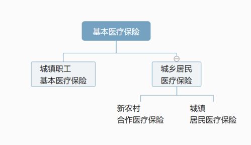 新农村合作医疗保险在哪缴费(新农村合作医疗保险在哪里交费)