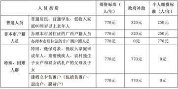 山东养老保险缴费个人(山东居民基本养老保险最高交多少)