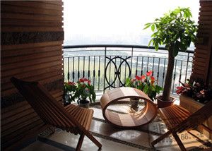 阳台放什么植物招财又旺宅