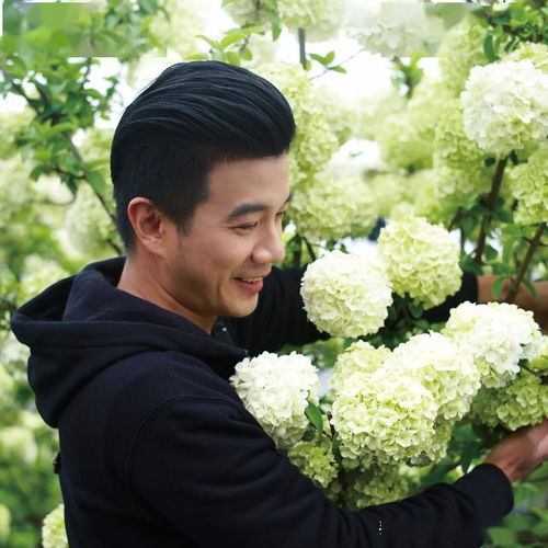 种花王大爷为啥去虹越