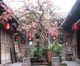 院子里种三种树最吉利