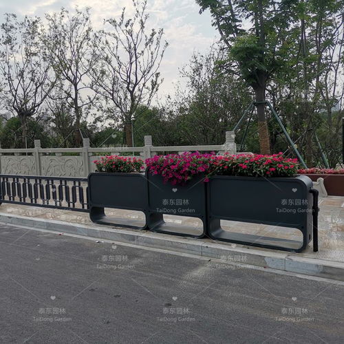 藤本月季需要多大的花箱