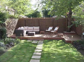 院子围墙种什么植物