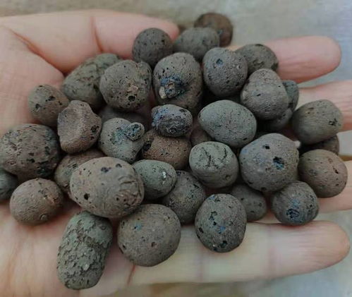 花盆里垫无纺布好吗