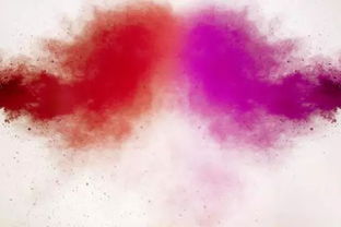 粉色达芬奇适合两广吗