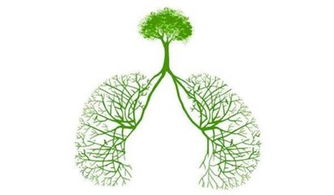 十大阴气最重的花