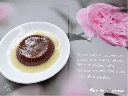 真宙珊瑚果冻哪个好