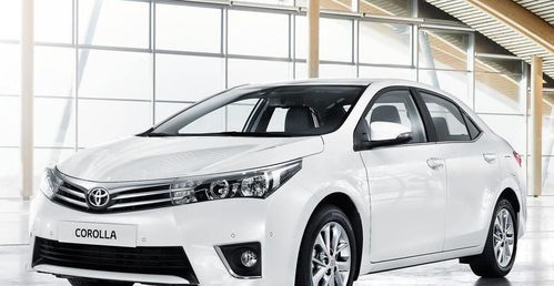 为什么没人养卡罗拉月季