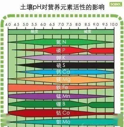 土壤pH值到底是啥 咋测