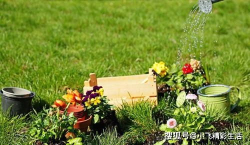 人不在家怎么给花浇水 家中没人怎样浇花