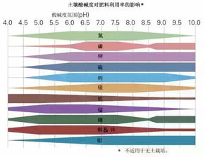 土壤究竟如何改良 先看懂它们之间的关系,事半功倍 