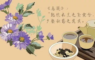 什么 原来这些花都能吃