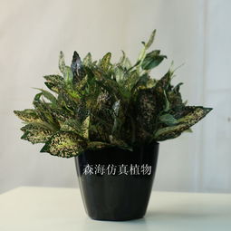 人造5叉星点木仿真植物绿植盆栽盆景装饰室内仿真绿植墙装饰配材 