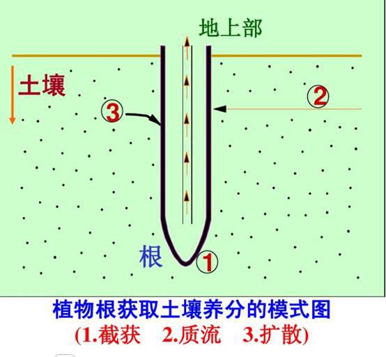 肥料效果差,这9大因素在作祟