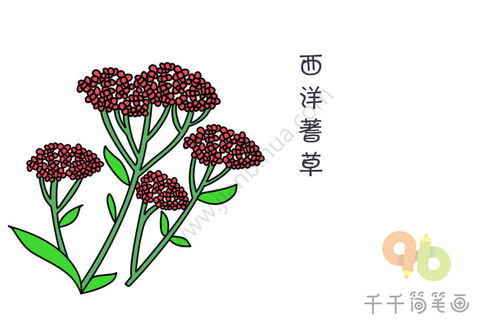 五彩缤纷花朵简笔画大全集