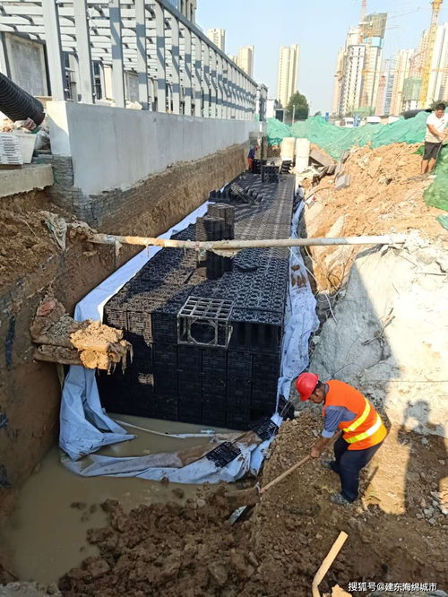 用雨水浇花怎么来收集雨水呢